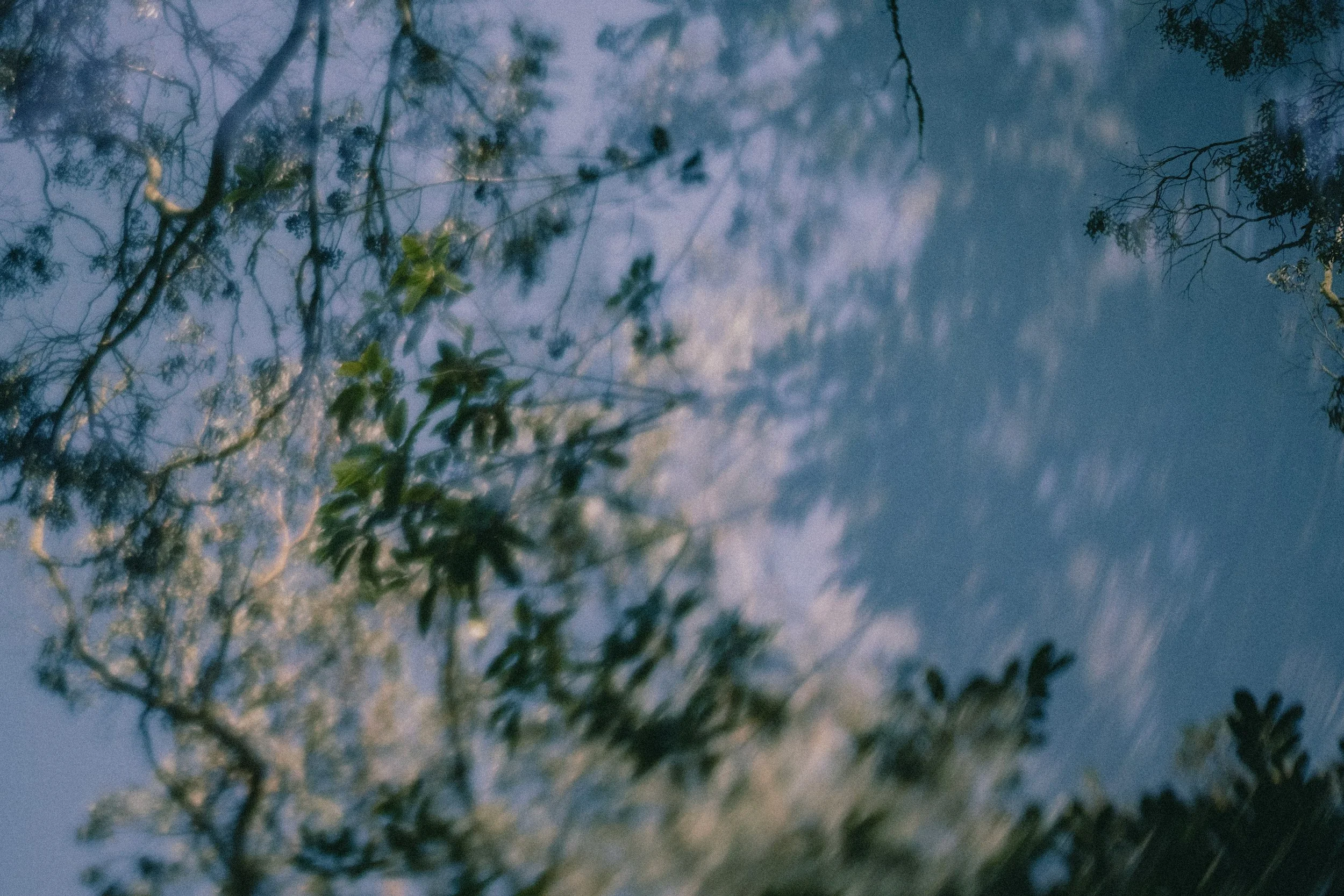 Reflection of trees with leaves on a water surface, creating an abstract and blurry effect with blue and green tones.