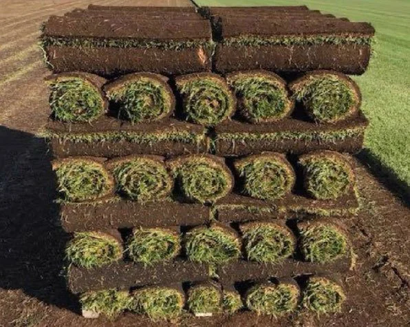 rolled-up-grass.jpg