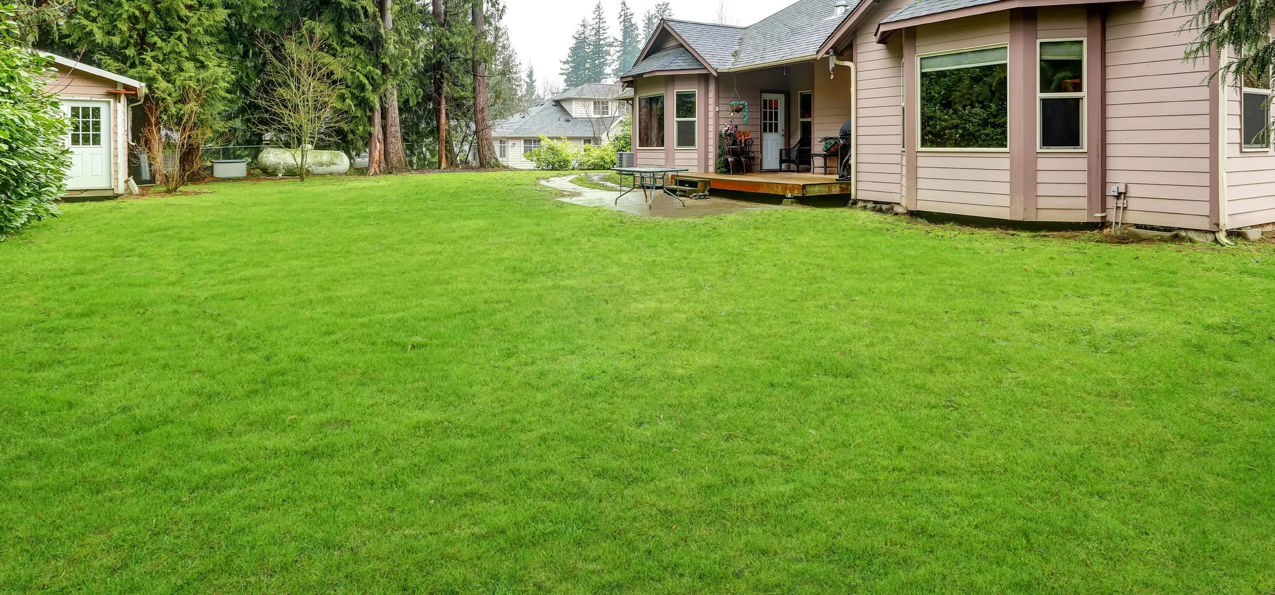 green-grass-backyard.jpg