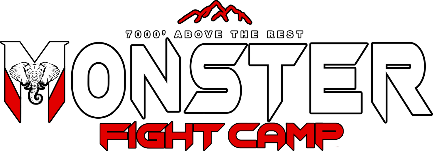 Monsterfightcamp.org