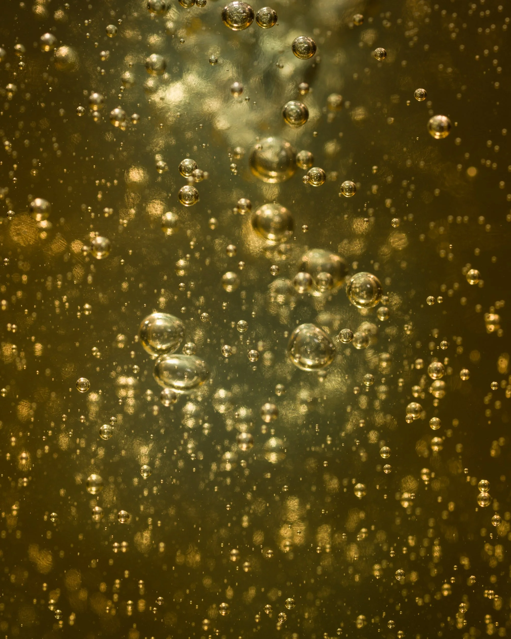 JaredSchoenemann_Potions-1_0053-Edit.jpg