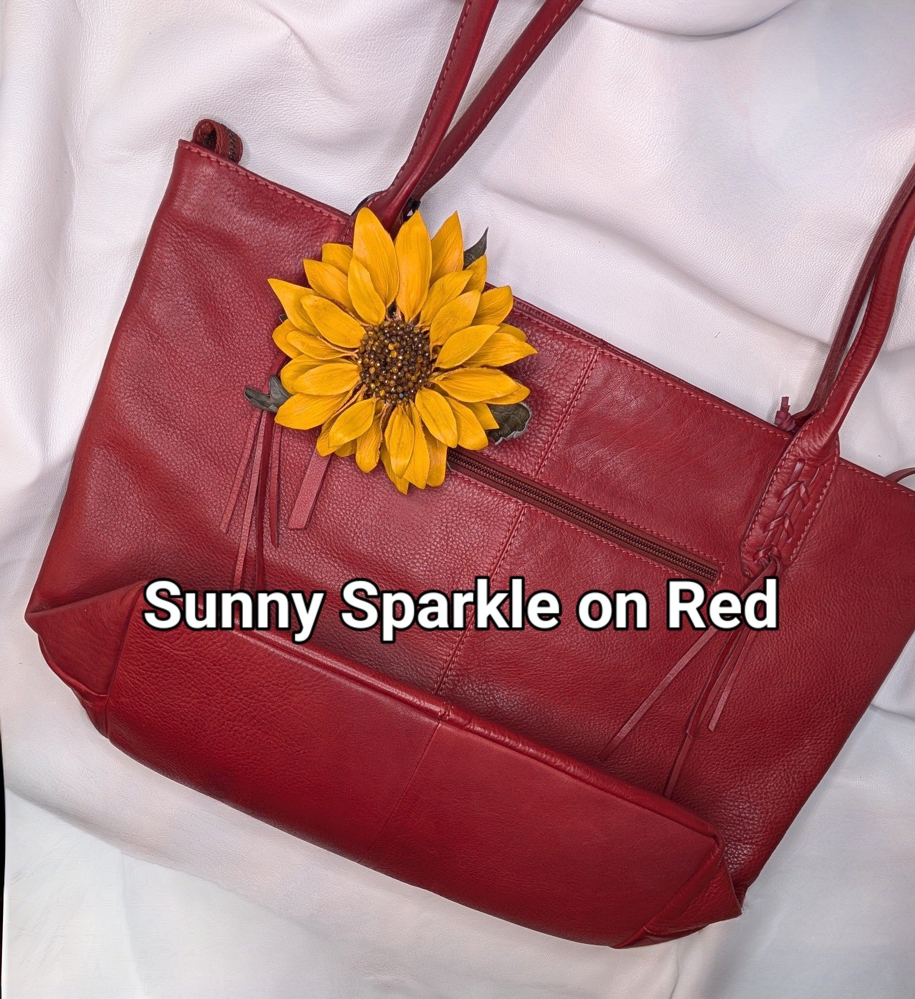 SunnySparkleonRed.jpg