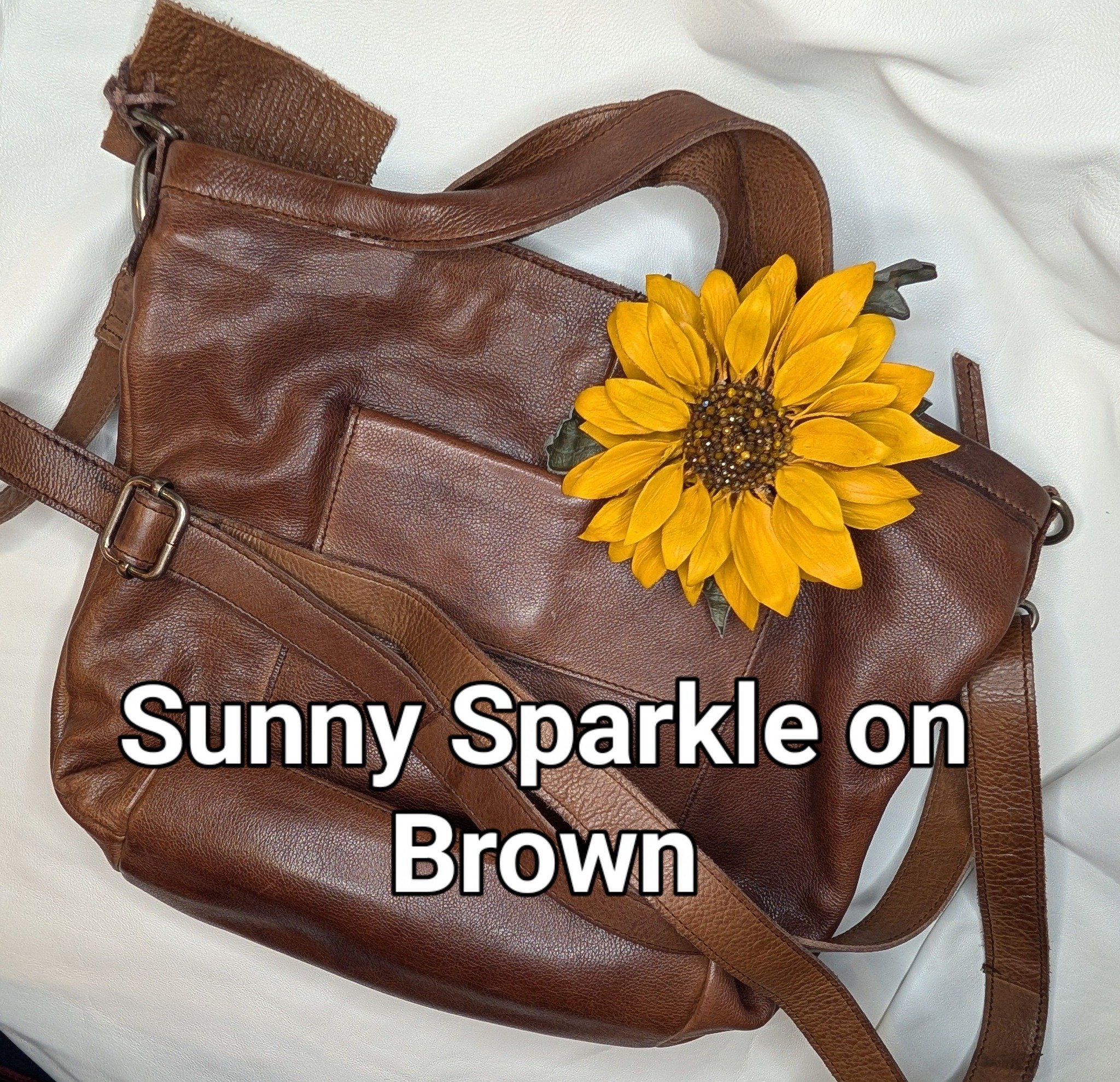 SunnySparkleonBrown.jpg