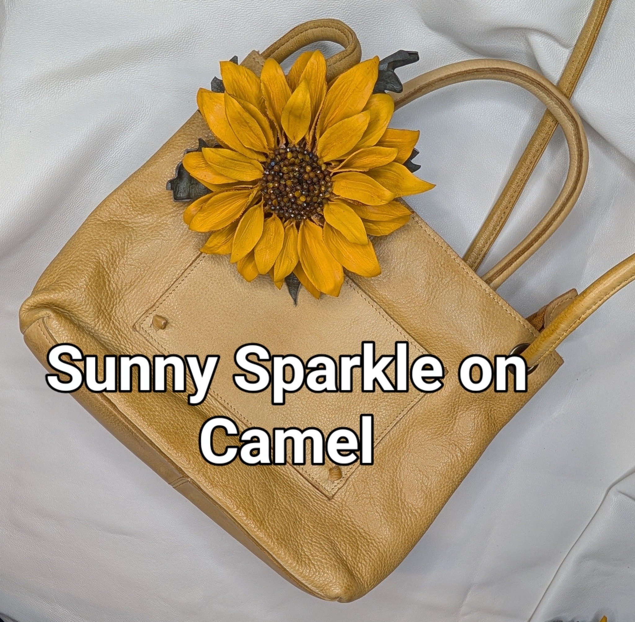 SunnySparkleonCamel.jpg