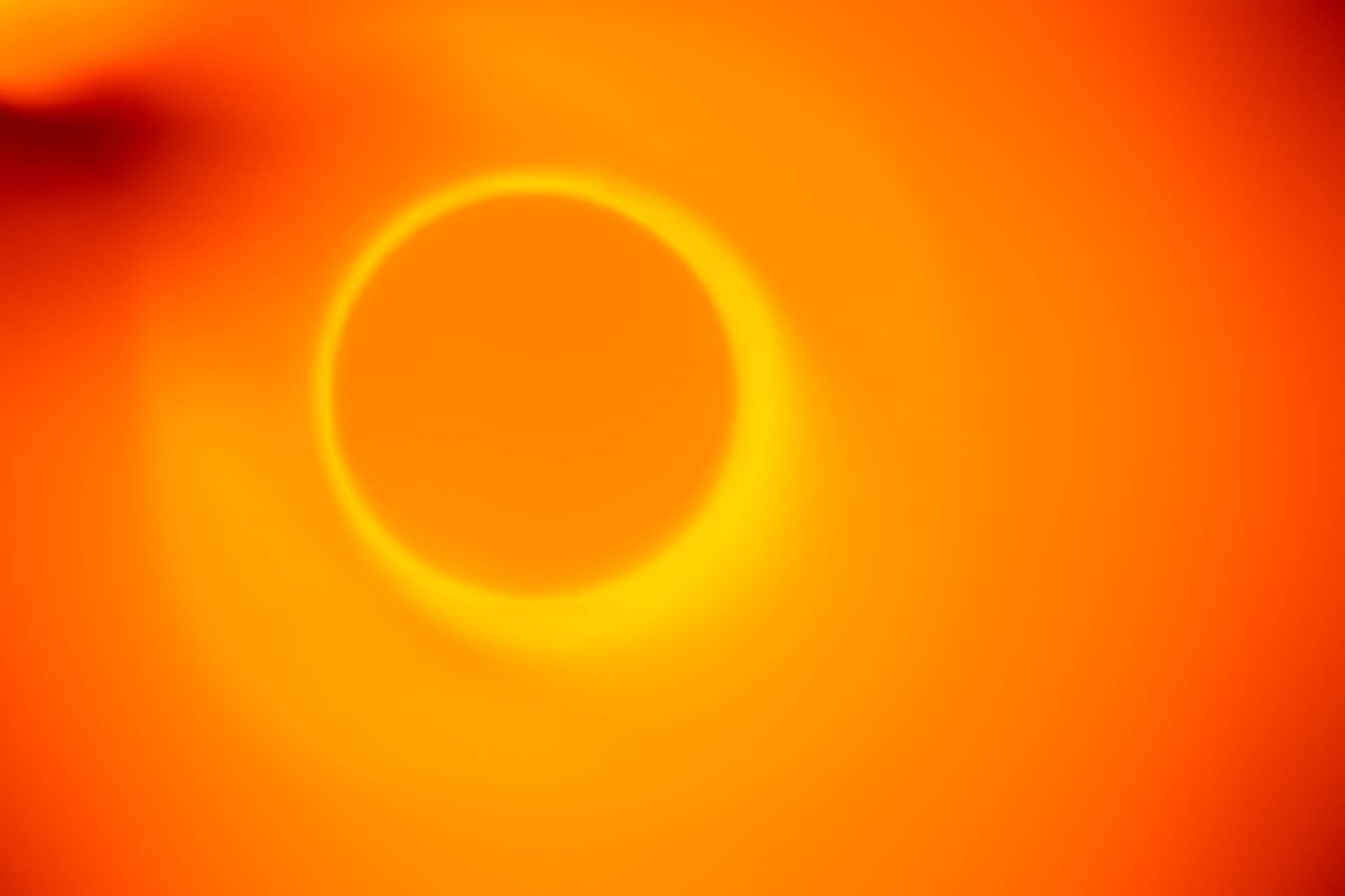 EB__0311.jpg