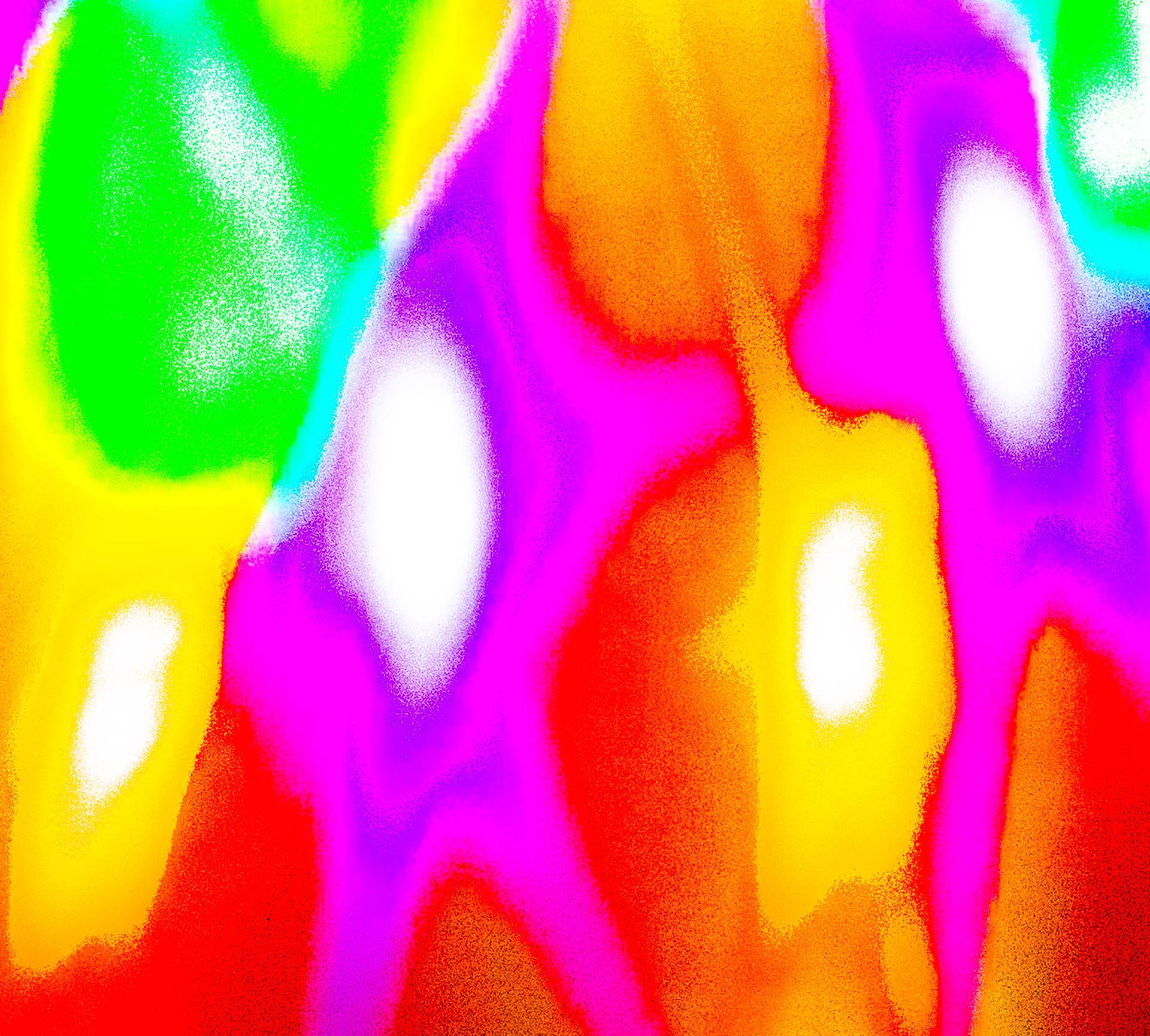 EB__0469.jpg