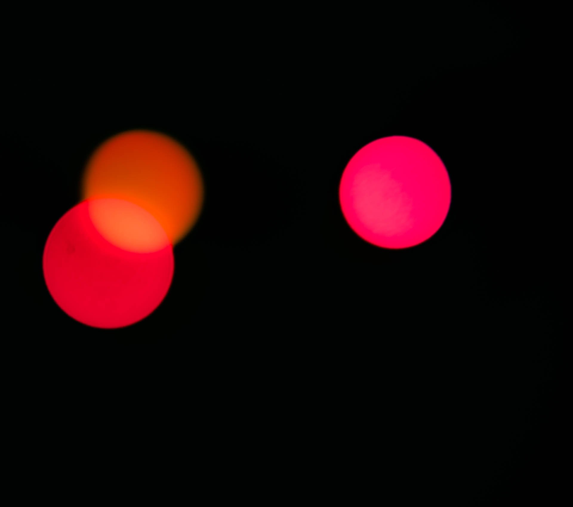 EB__0335.jpg