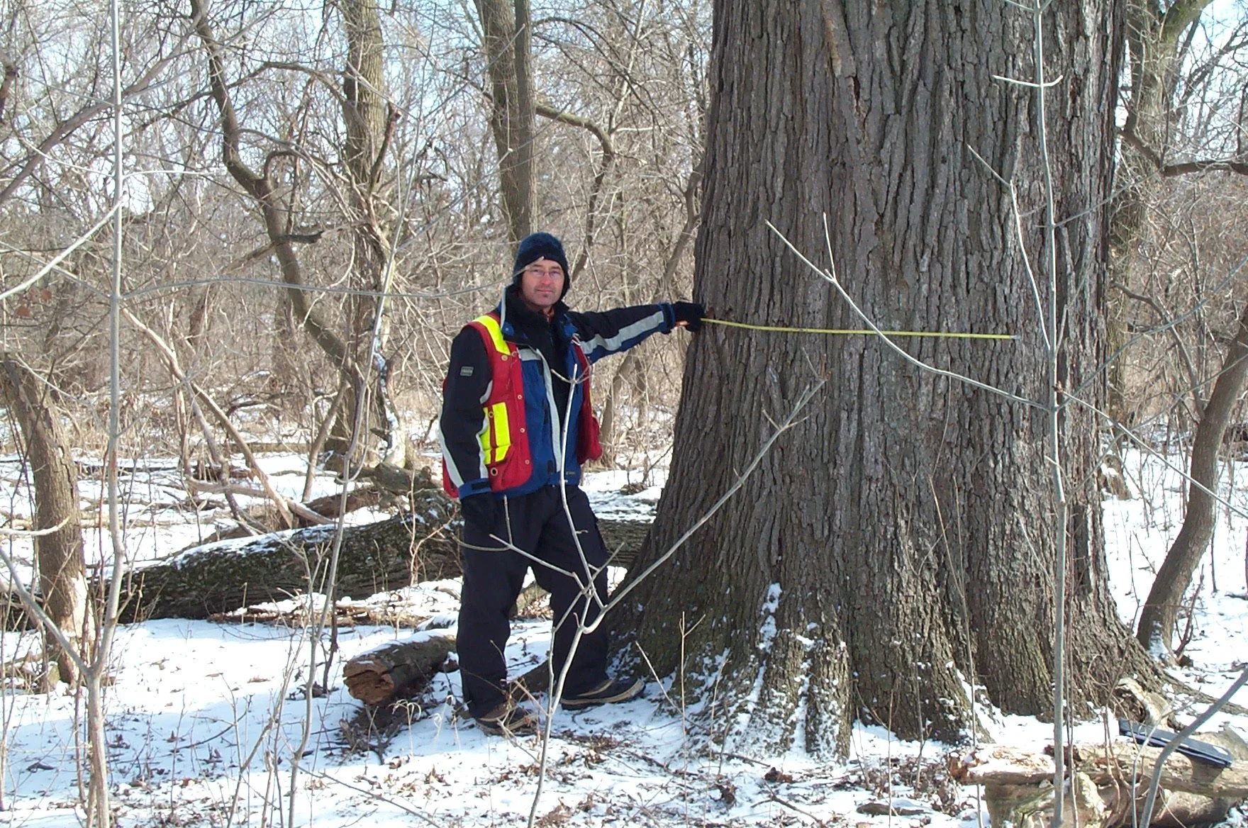 Forestry technician conducting tree inventory and data collection