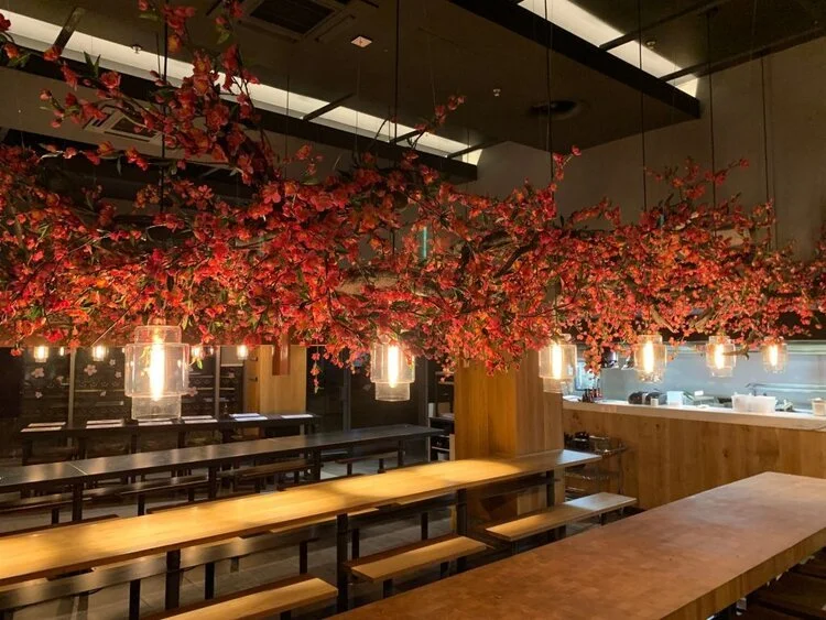 Interior of a restaurant with long wooden tables, hanging pendant lights, and a large decorative cherry blossom branch overhead.