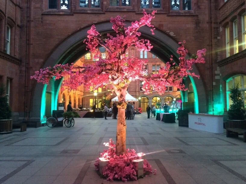 Pink flowering tree illuminated with colorful lights in an outdoor courtyard with people, tables, and historic brick buildings in the background.