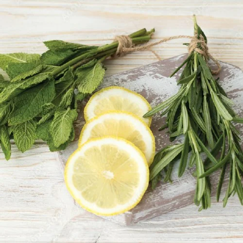 Bunches of fresh mint and rosemary with three lemon slices on a light wooden surface.