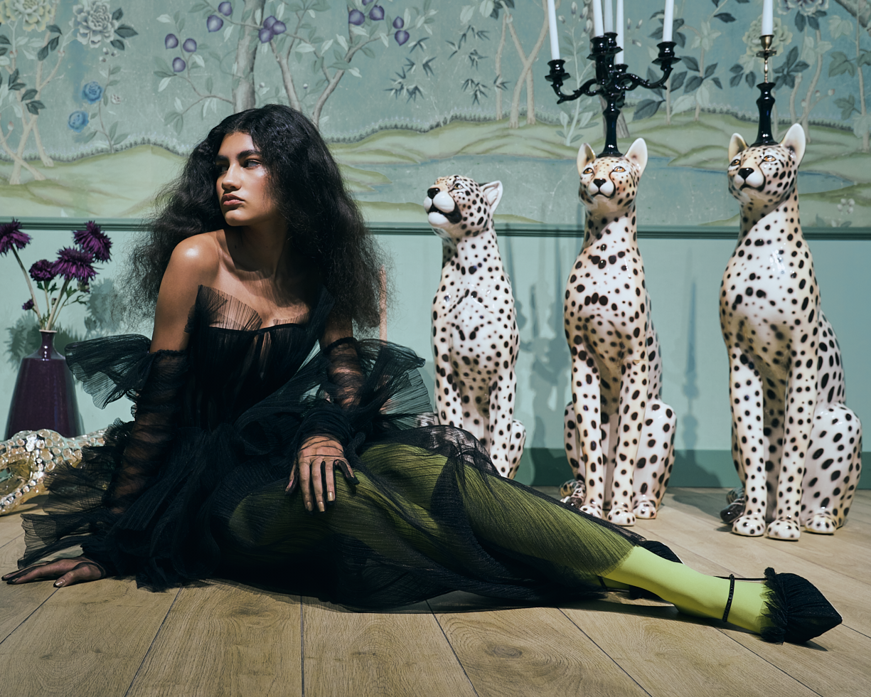 Le Guepard 11 (1).png