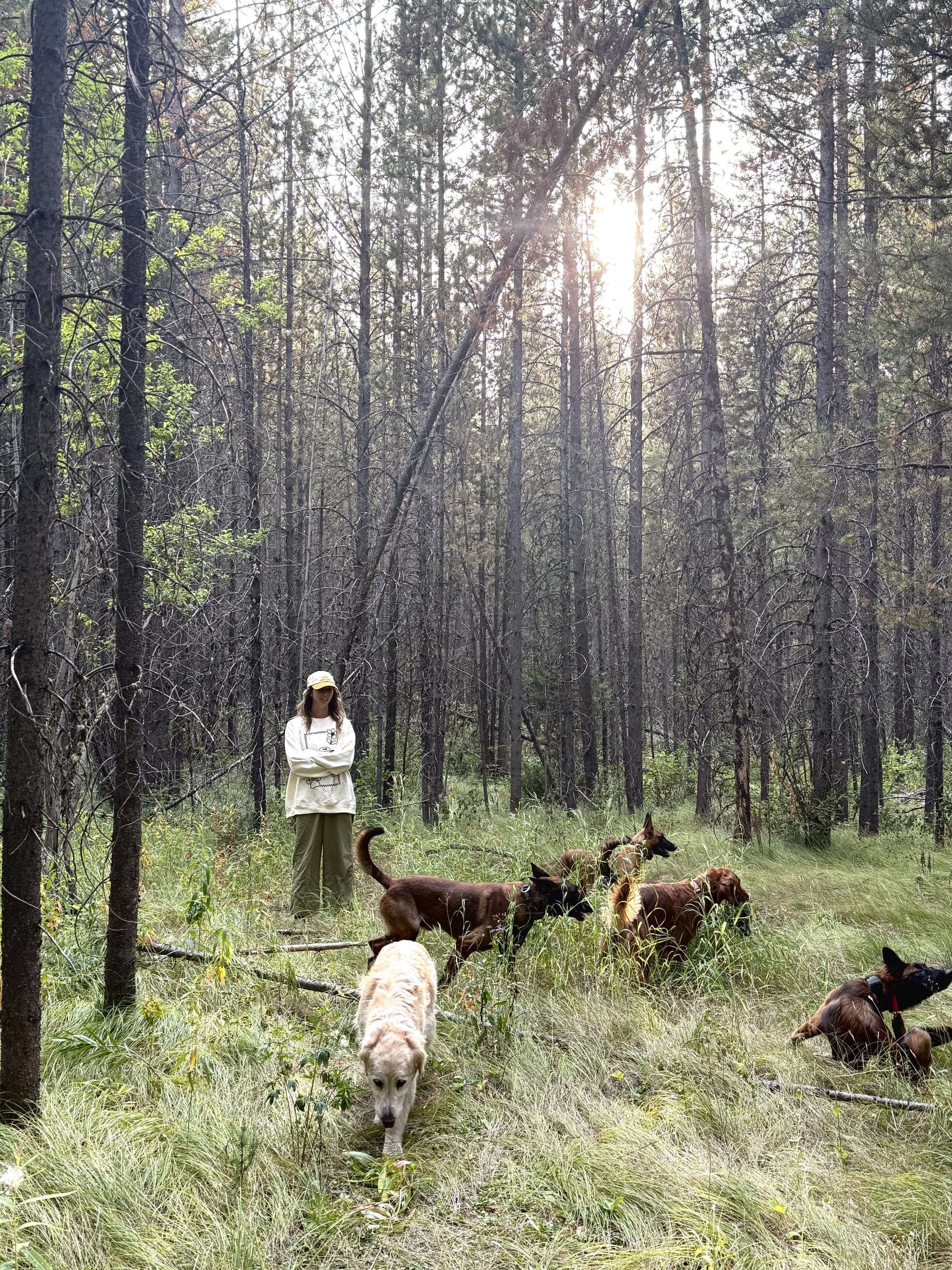 Pack Walk Walnut Creek 