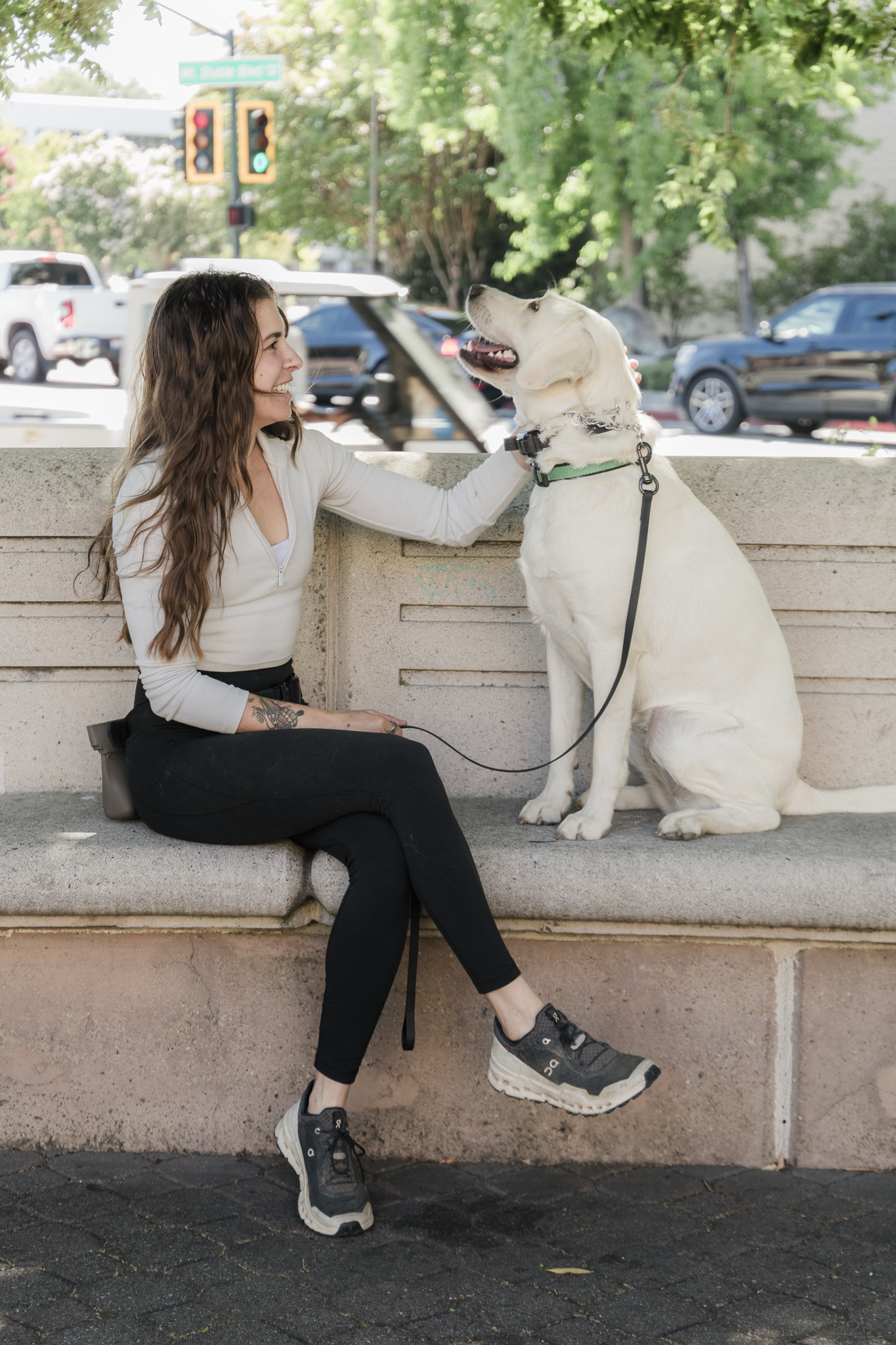 Roam K9s Dog Training 