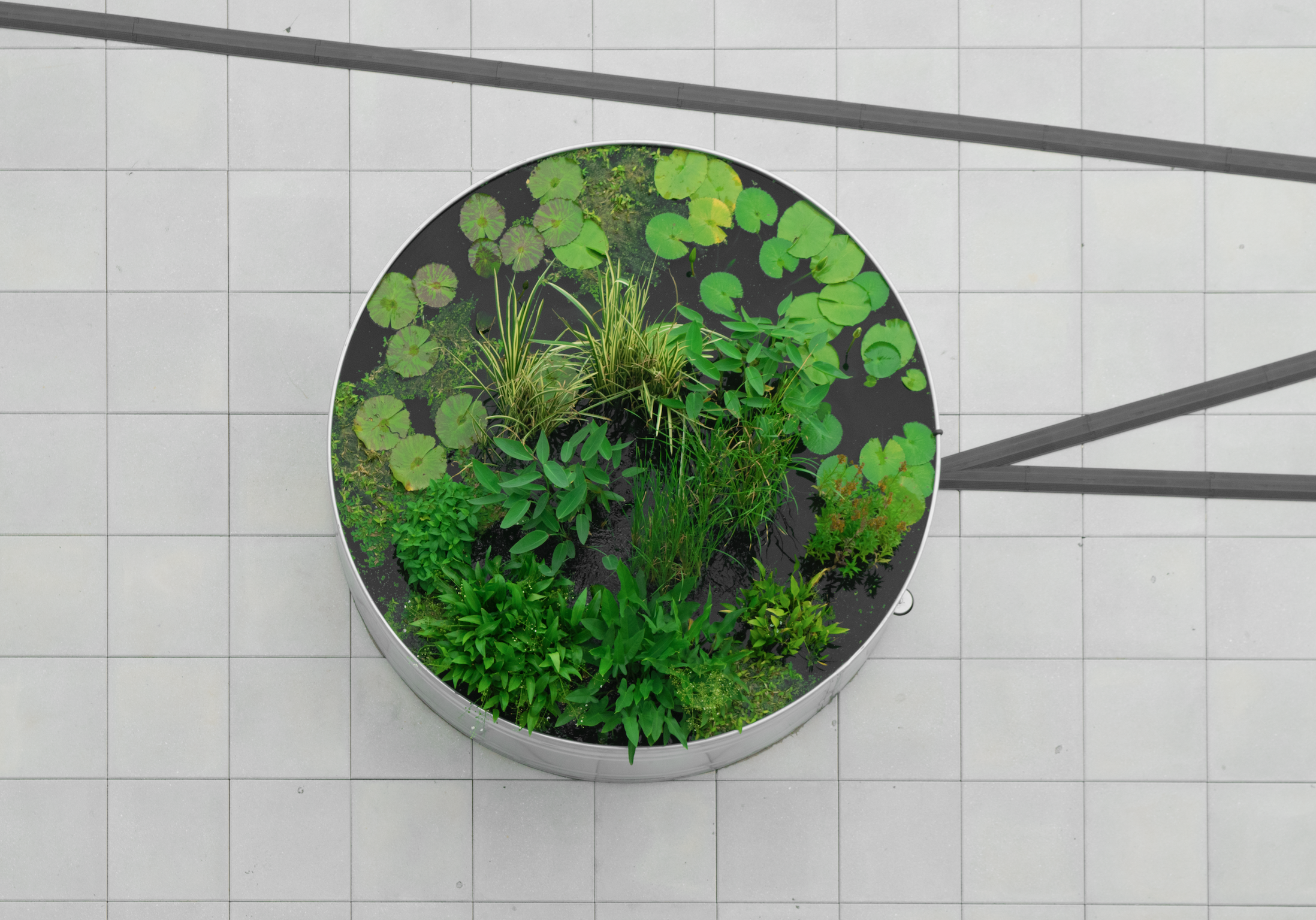 Screenshot 2026-04-28 at 10.12.51 AM.png