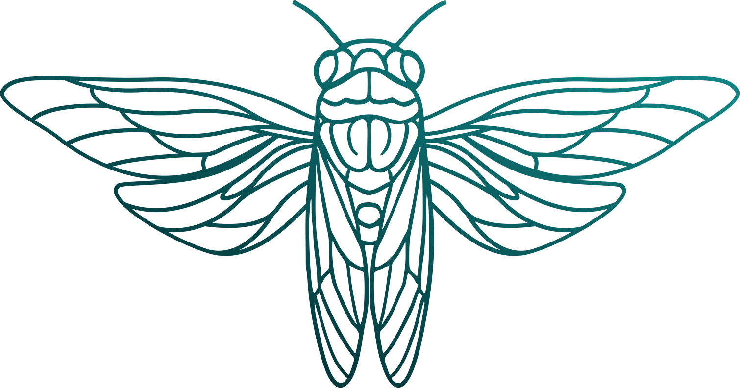 Outline drawing of a large moth with detailed wing patterns and a fuzzy body, viewed from the front.