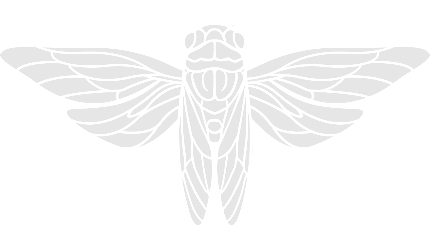 Line drawing of a moth with its wings spread wide open.