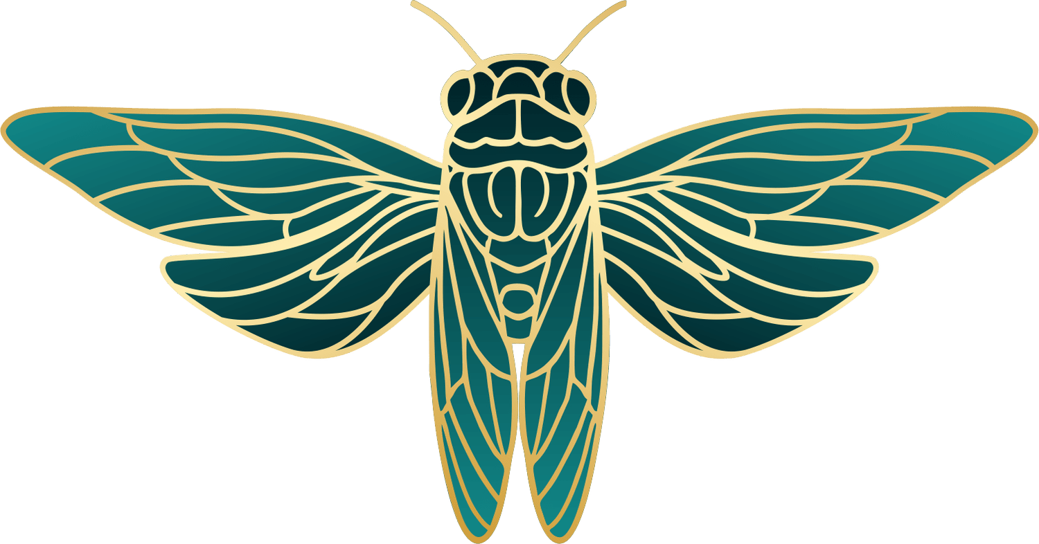 CICADA CONSULTING