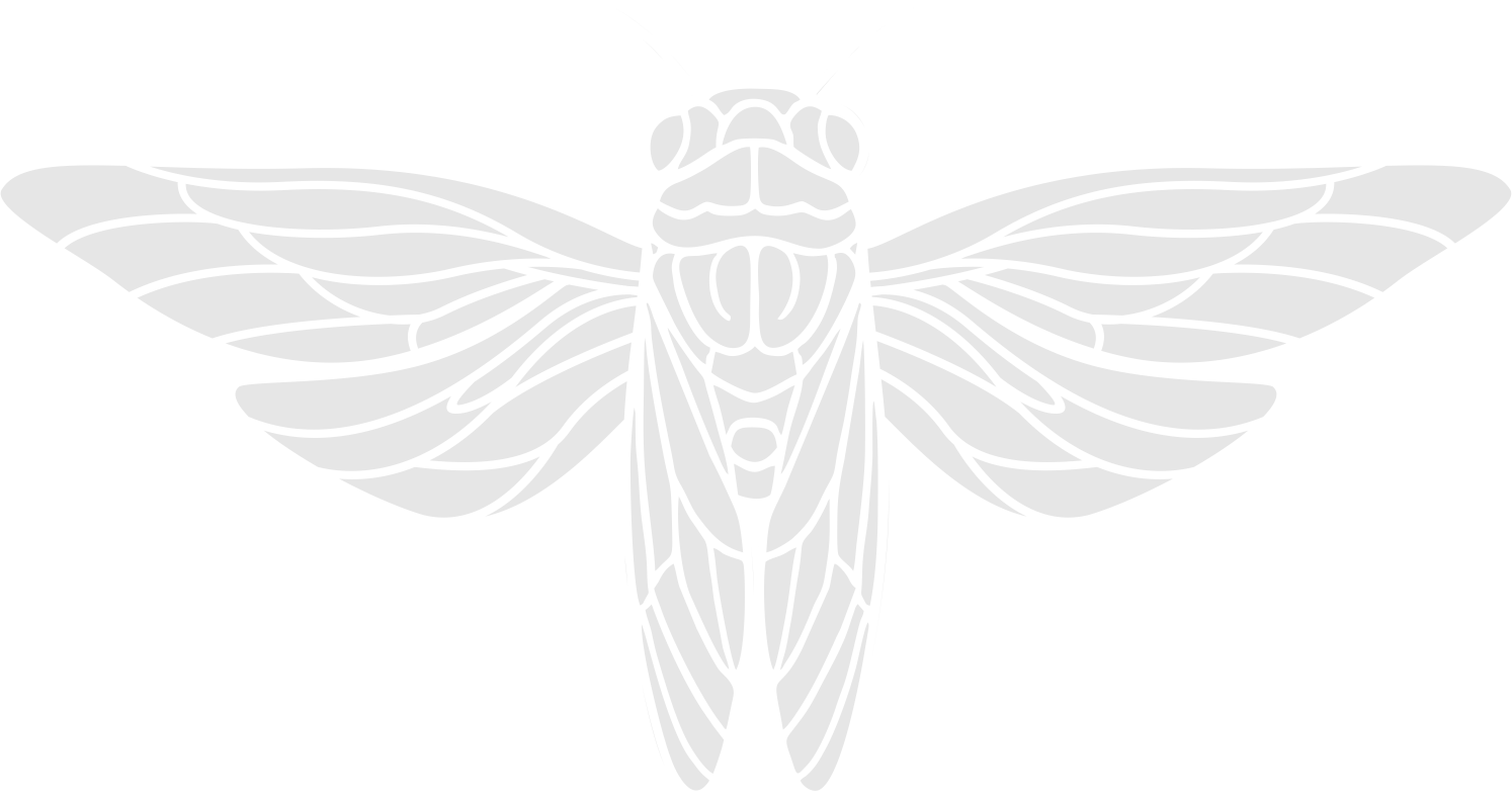 Black and white illustration of a moth with detailed symmetrical wings and body.