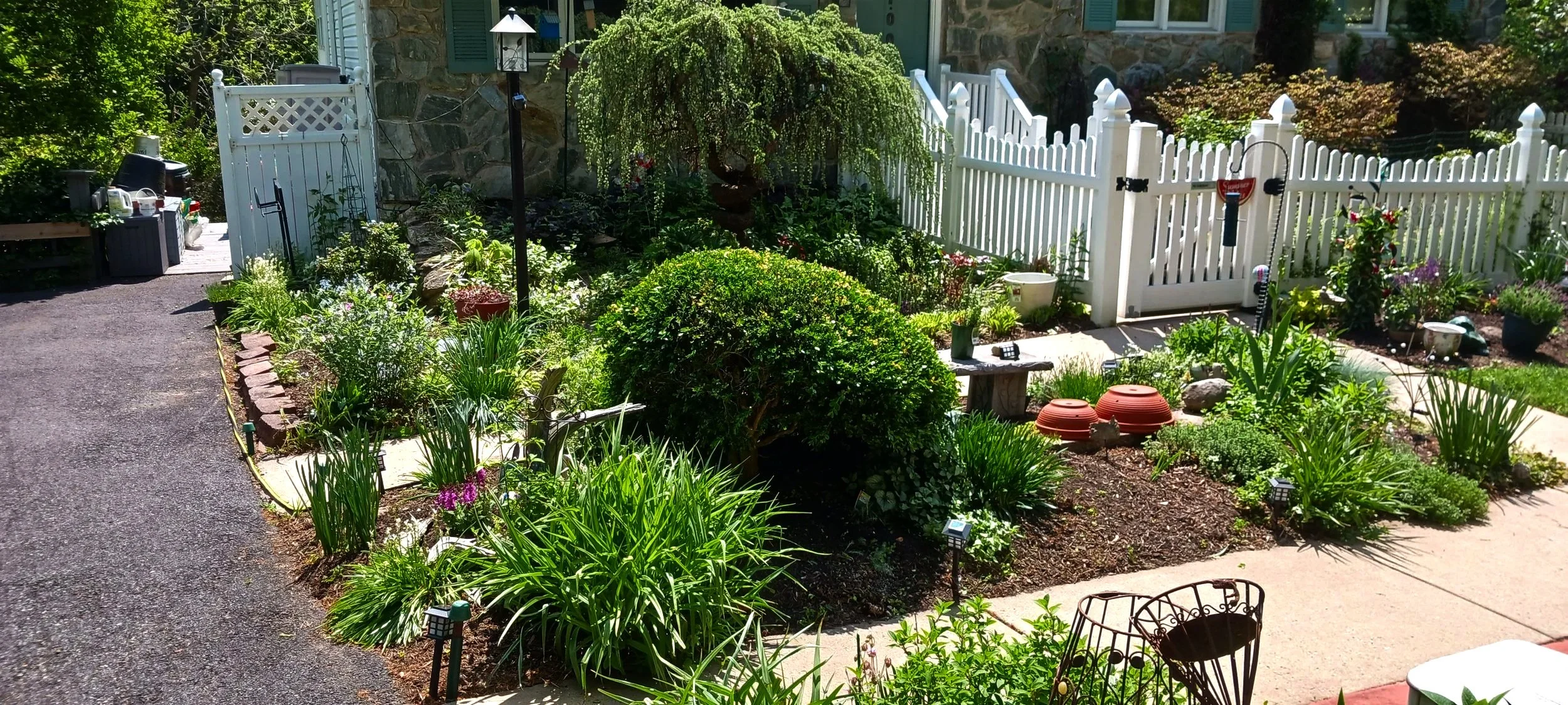 20260508_113849.jpg