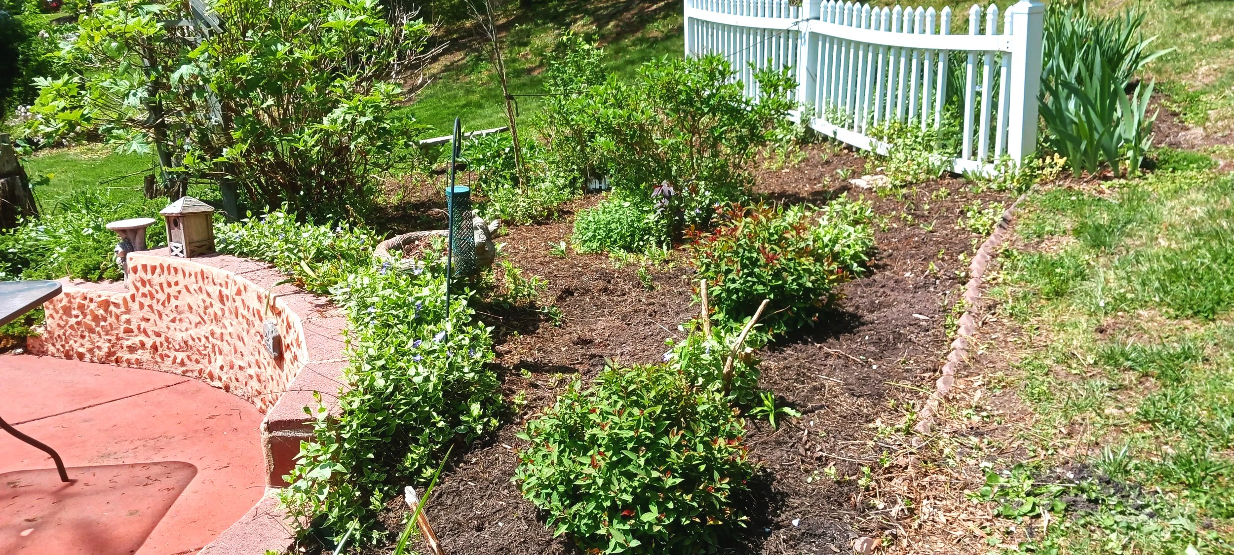 20260508_113852.jpg
