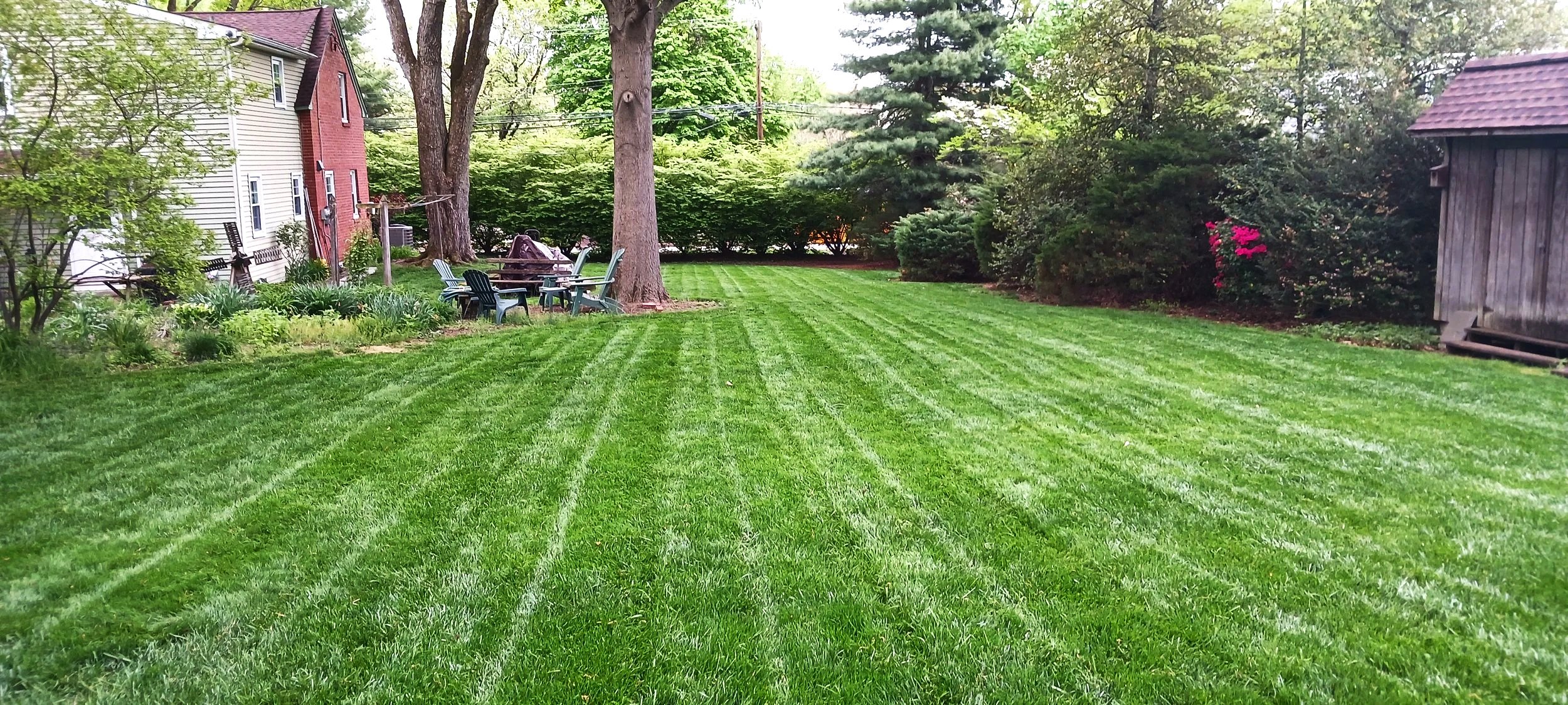 20260429_082449.jpg
