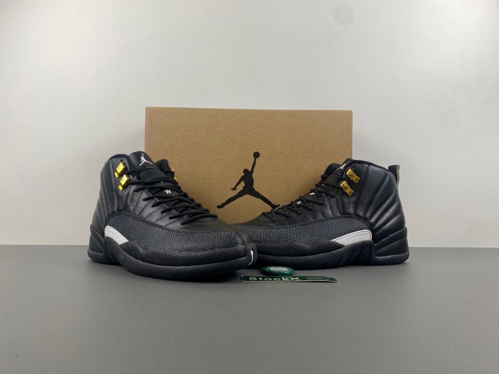 Air Jordan 12 Mens