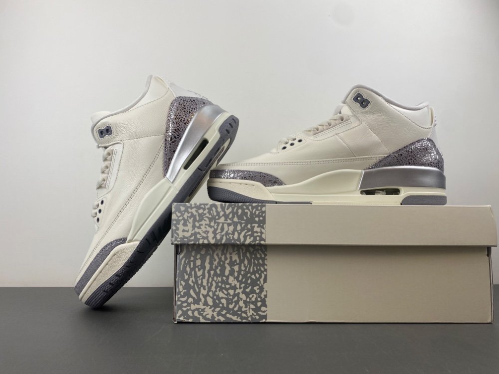 Air Jordan 3 Mens