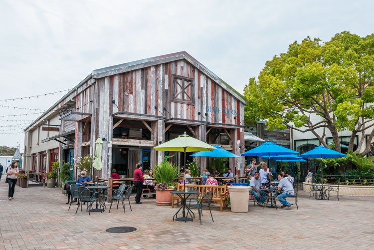 Casual outdoor dining area with people seated at tables under umbrellas, beside a rustic building with wood paneling and the name "Blue Barn" visible. Trees and plants surround the area, creating a relaxed atmosphere.