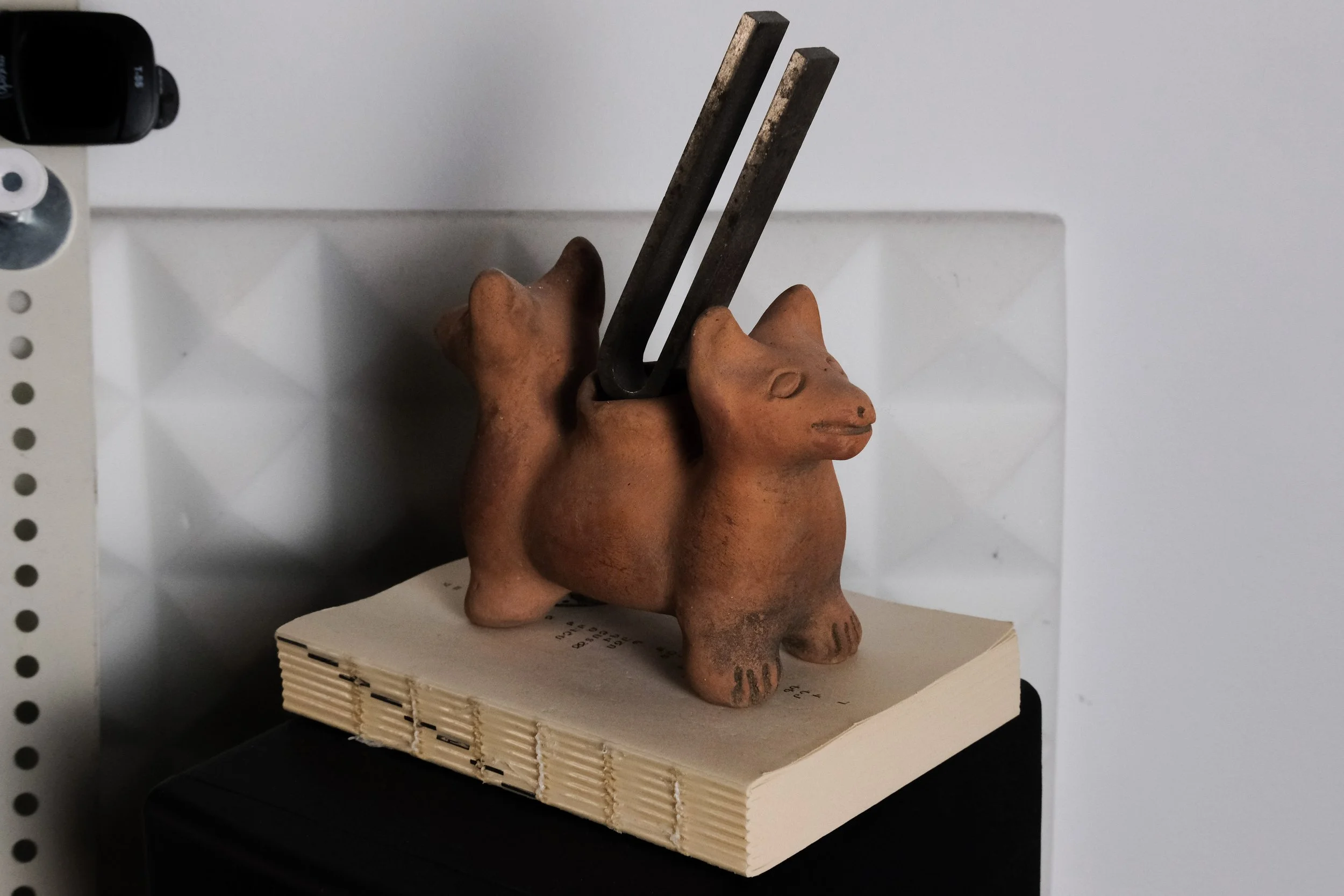 DSCF8175.jpg