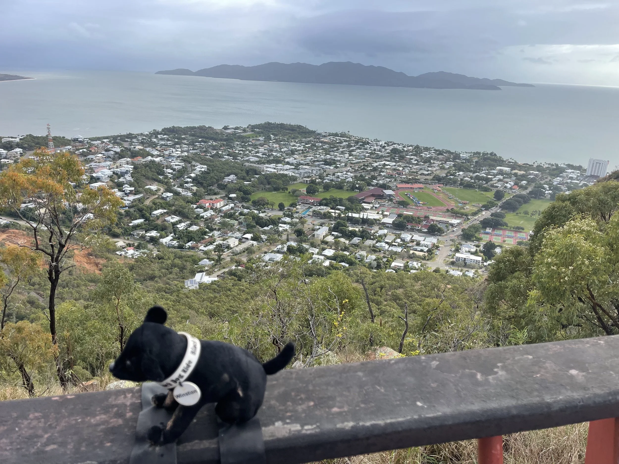 Lookout1.jpg