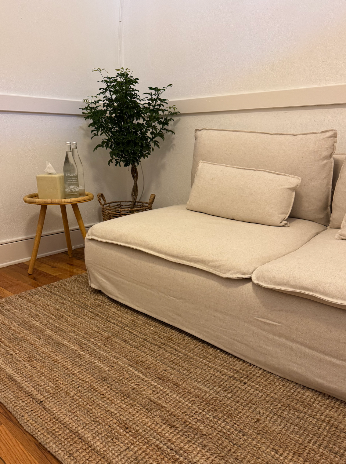 A cozy living room corner with a beige sofa, a small round wooden side table holding water bottles and tissue box, a potted plant, and a textured rug on hardwood floors.