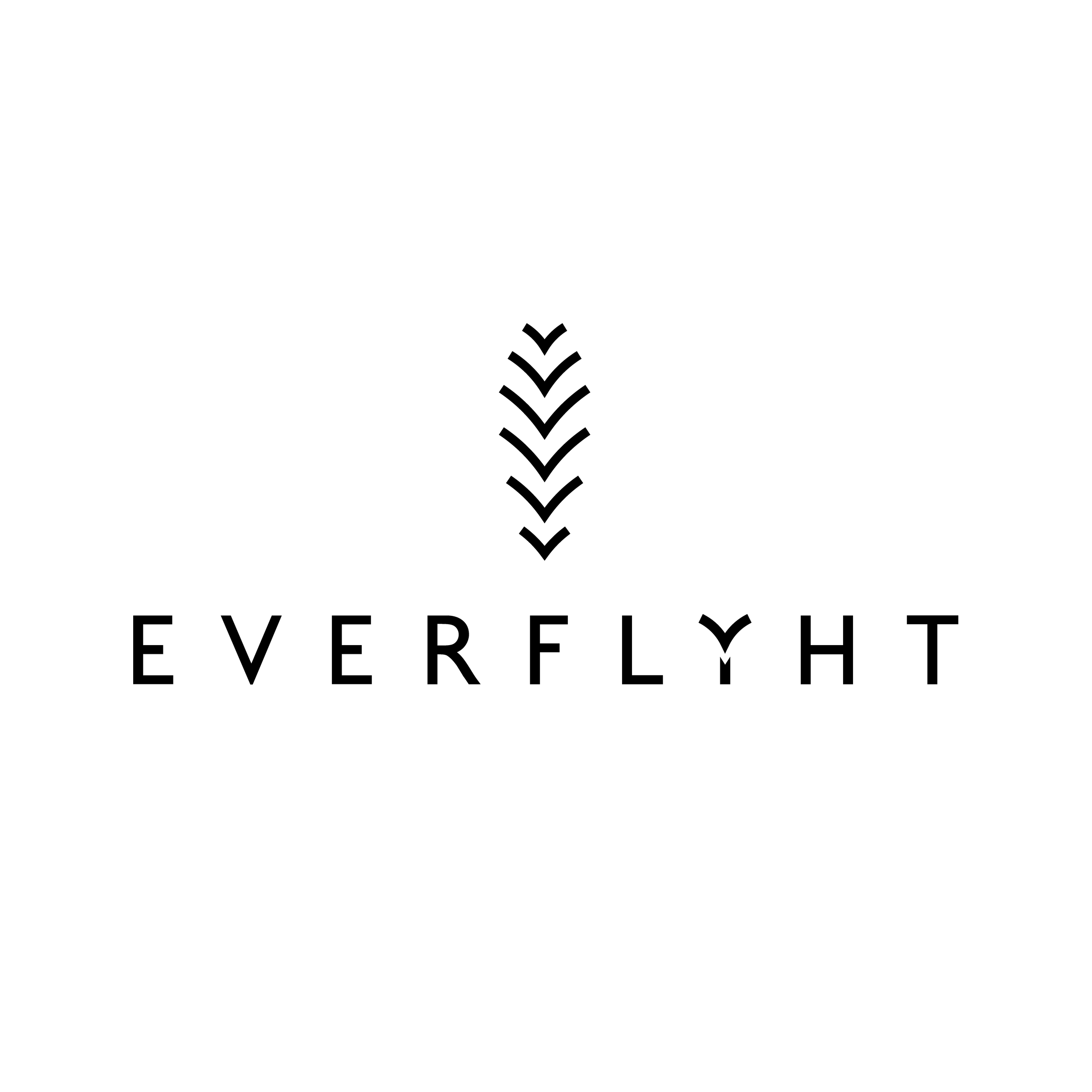 EVERFLYHT SQ-01-01.png