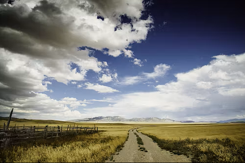 Walk Humbly With Your God