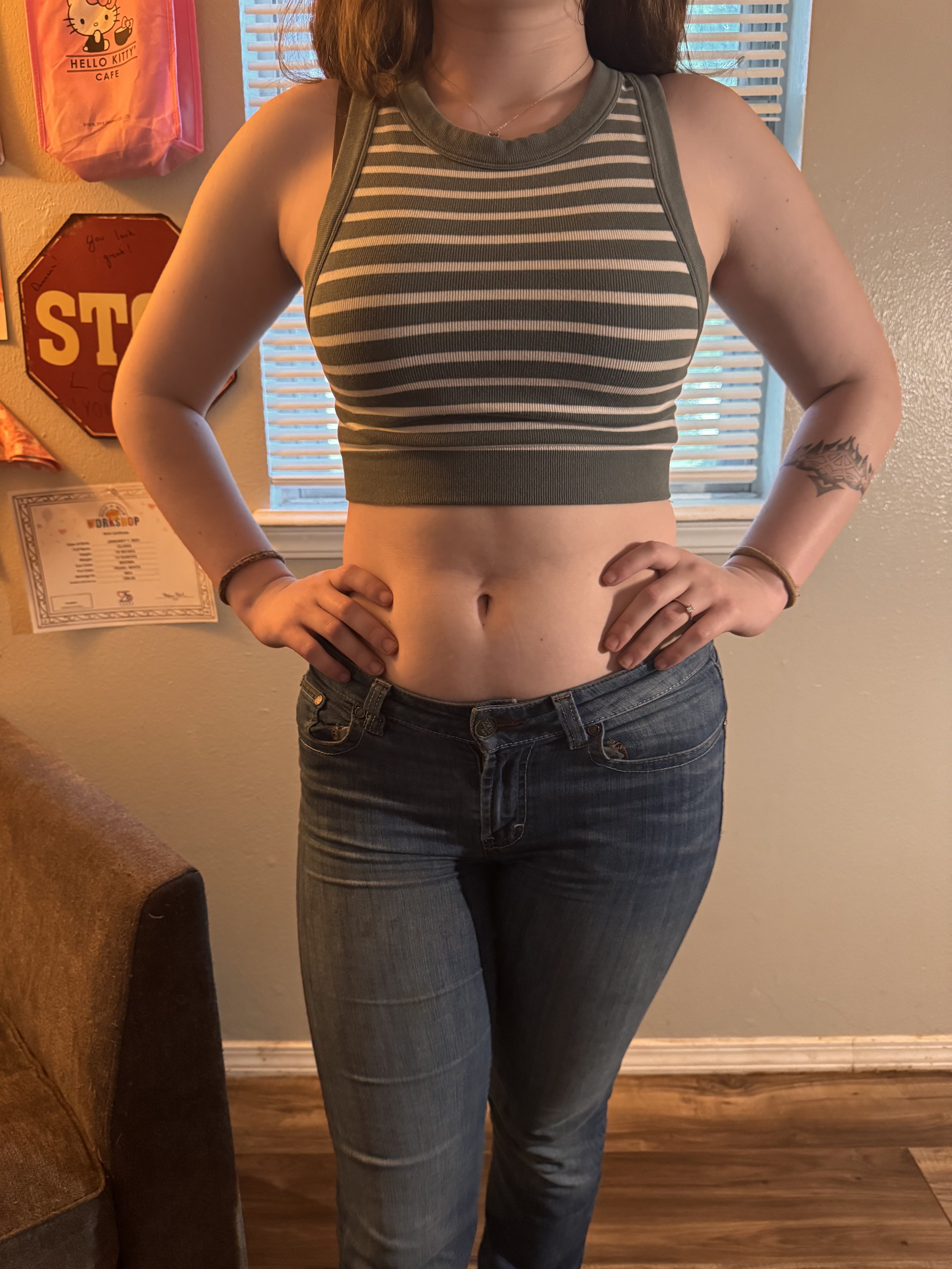 aerie striped green-and-white crop top