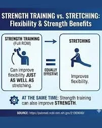 Strength Training vs. Stretching: Unpacking What Your Body Truly Requires