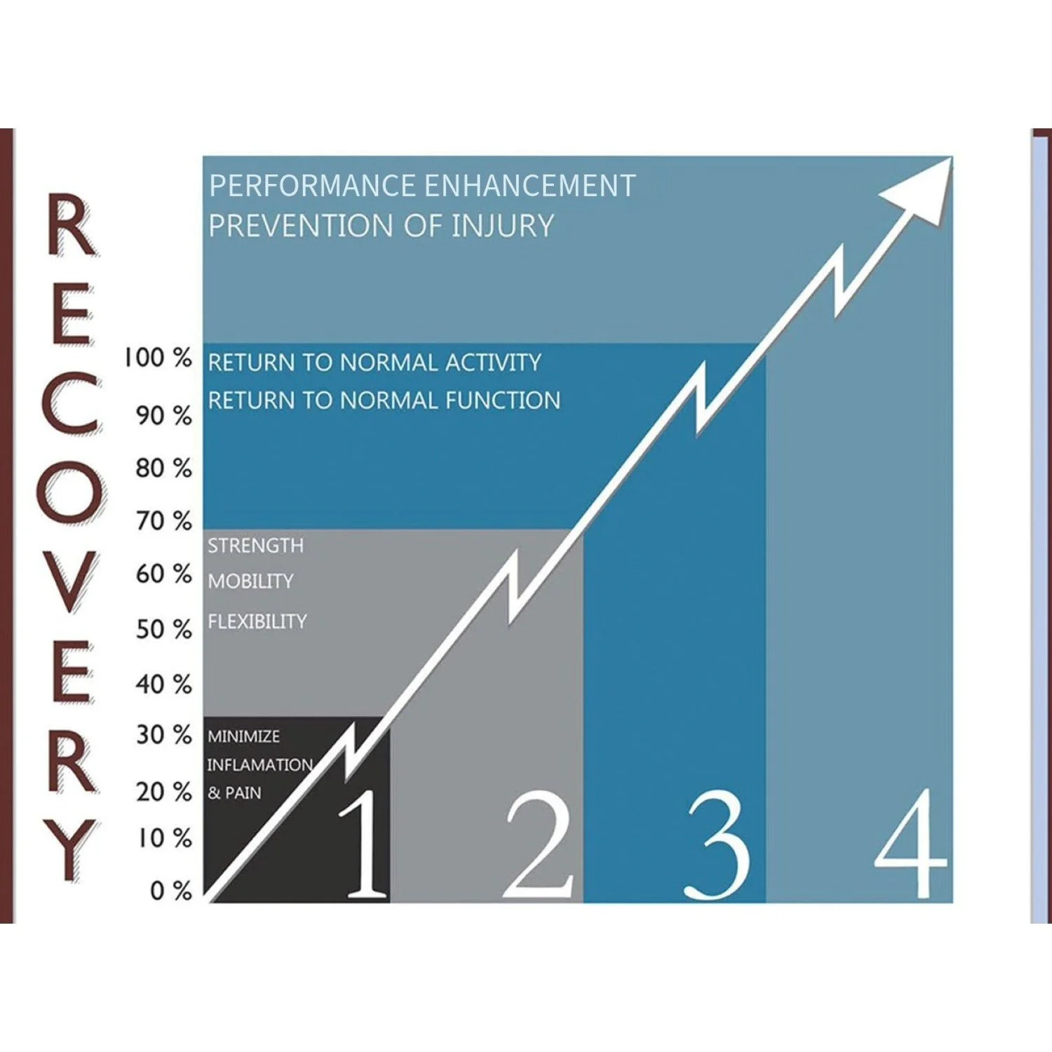 An infographic demonstrating the 4 phases of recovery