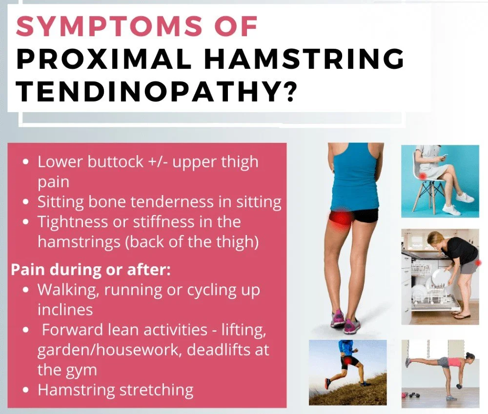 An infographic about the symptoms of high hamstring tendinopathy