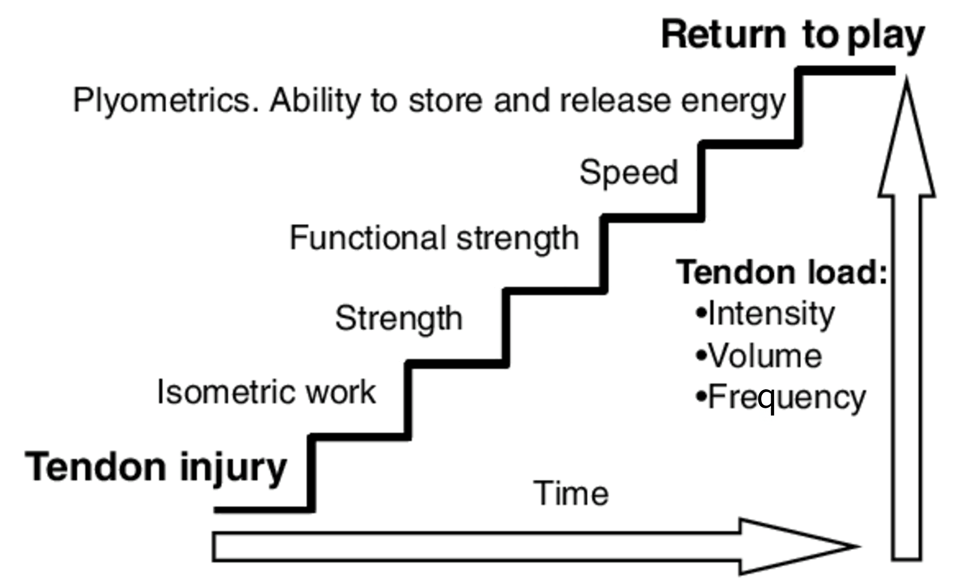 Infographic about return to play rehab progressions for a tendon injury