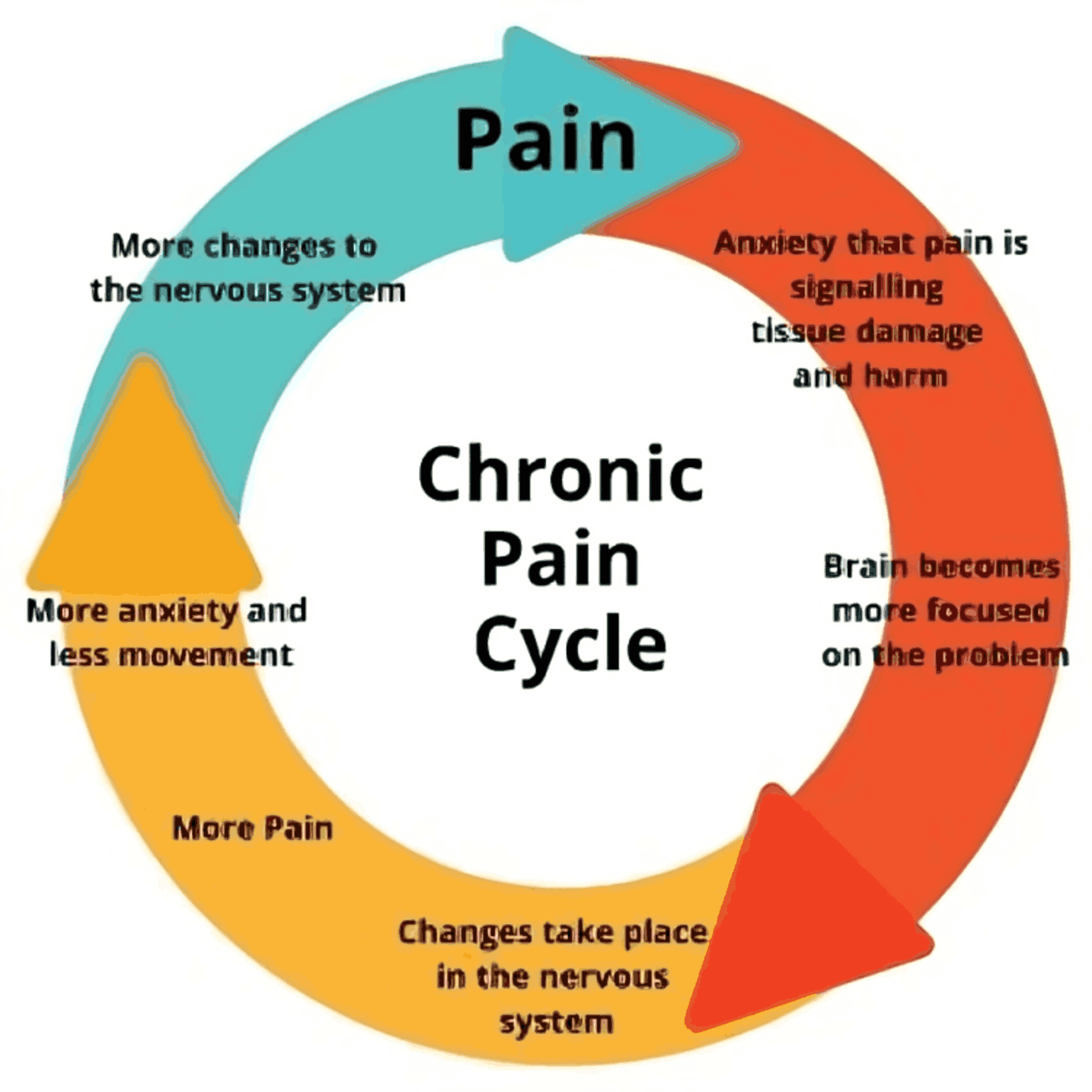 An infographic demonstrating the chronic pain cycle.