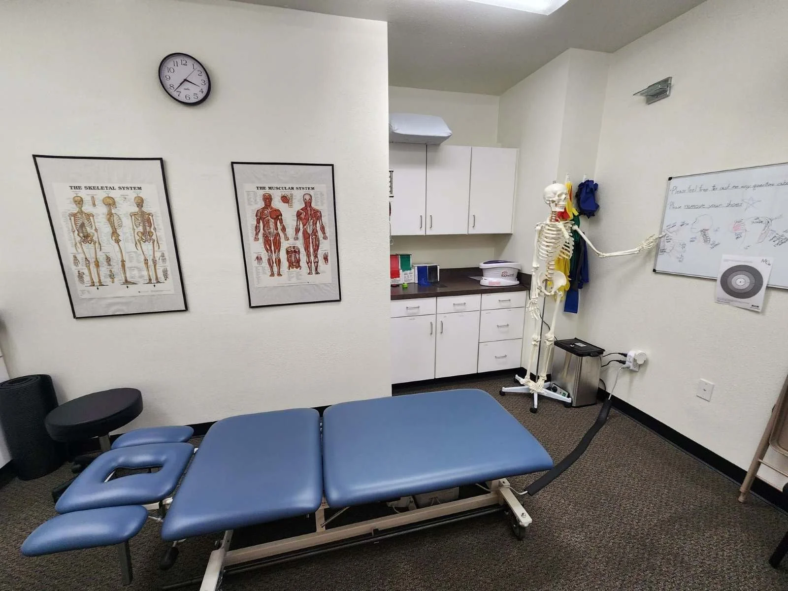 A picture of the evaluation room of Tualatin Valley Physical Therapy with Sir Winston III providing patient education.