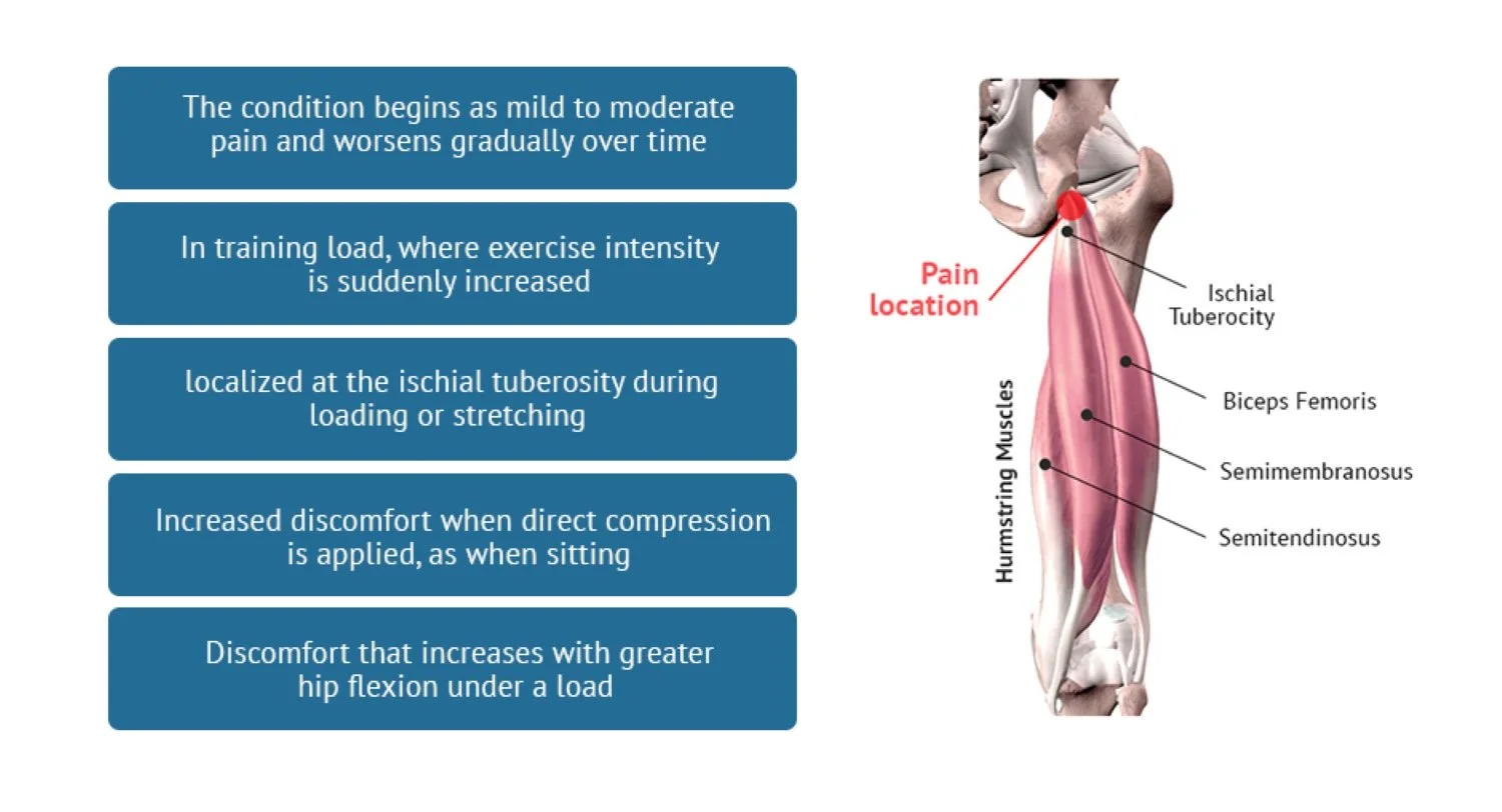 An infographic about proximal hamstring tendon pain