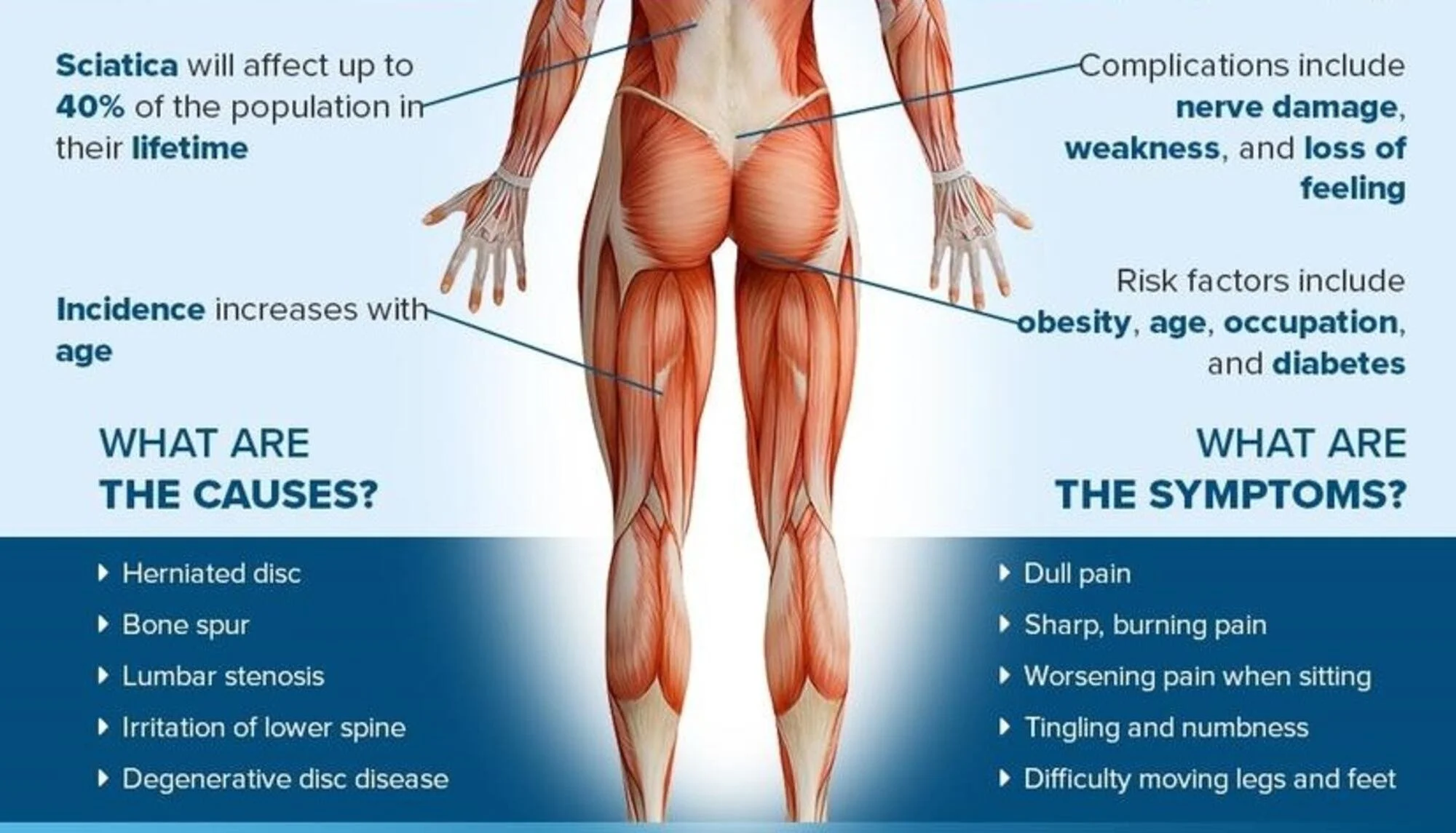 Infographic about sciatica and radiating leg pain including the symptoms and possible causes.