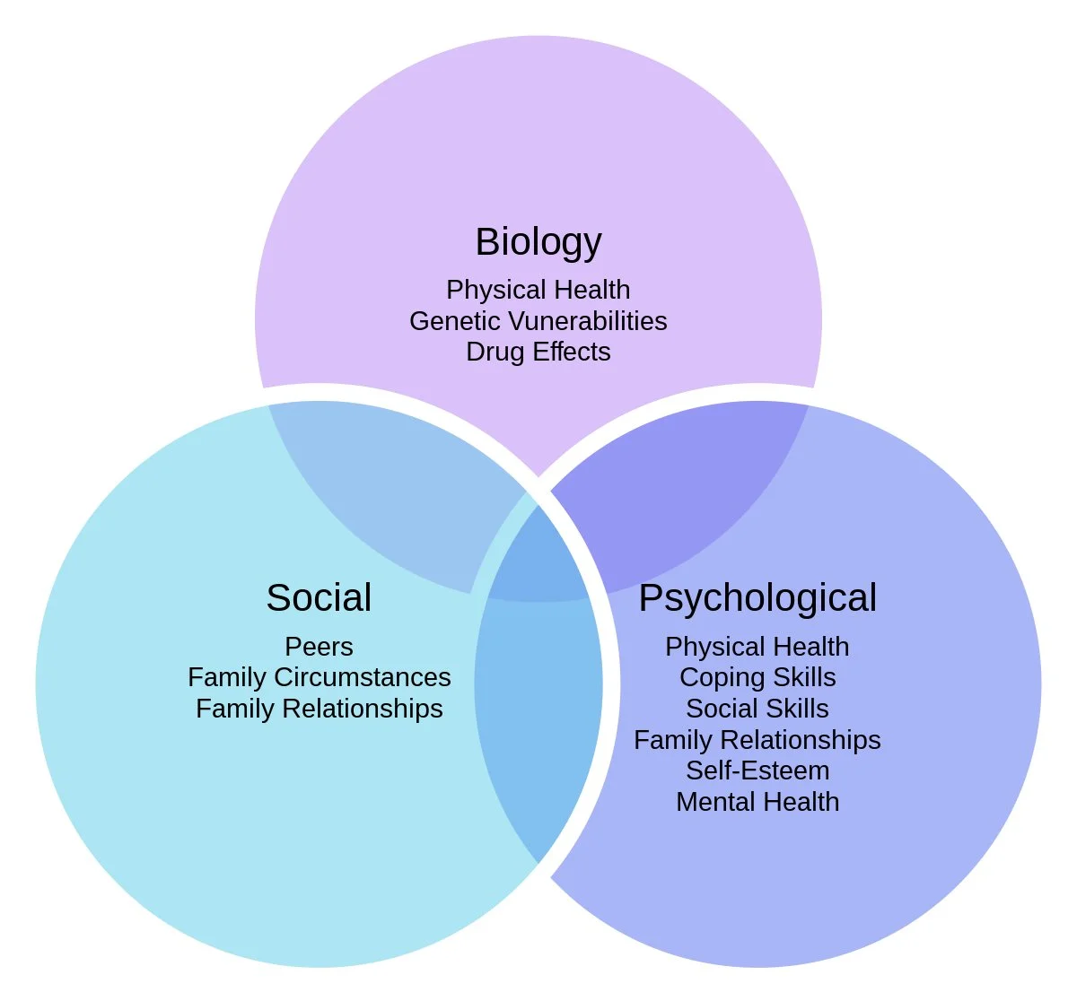 At Tualatin Valley Physical Therapy we address the whole person using the biopsychosocial model
