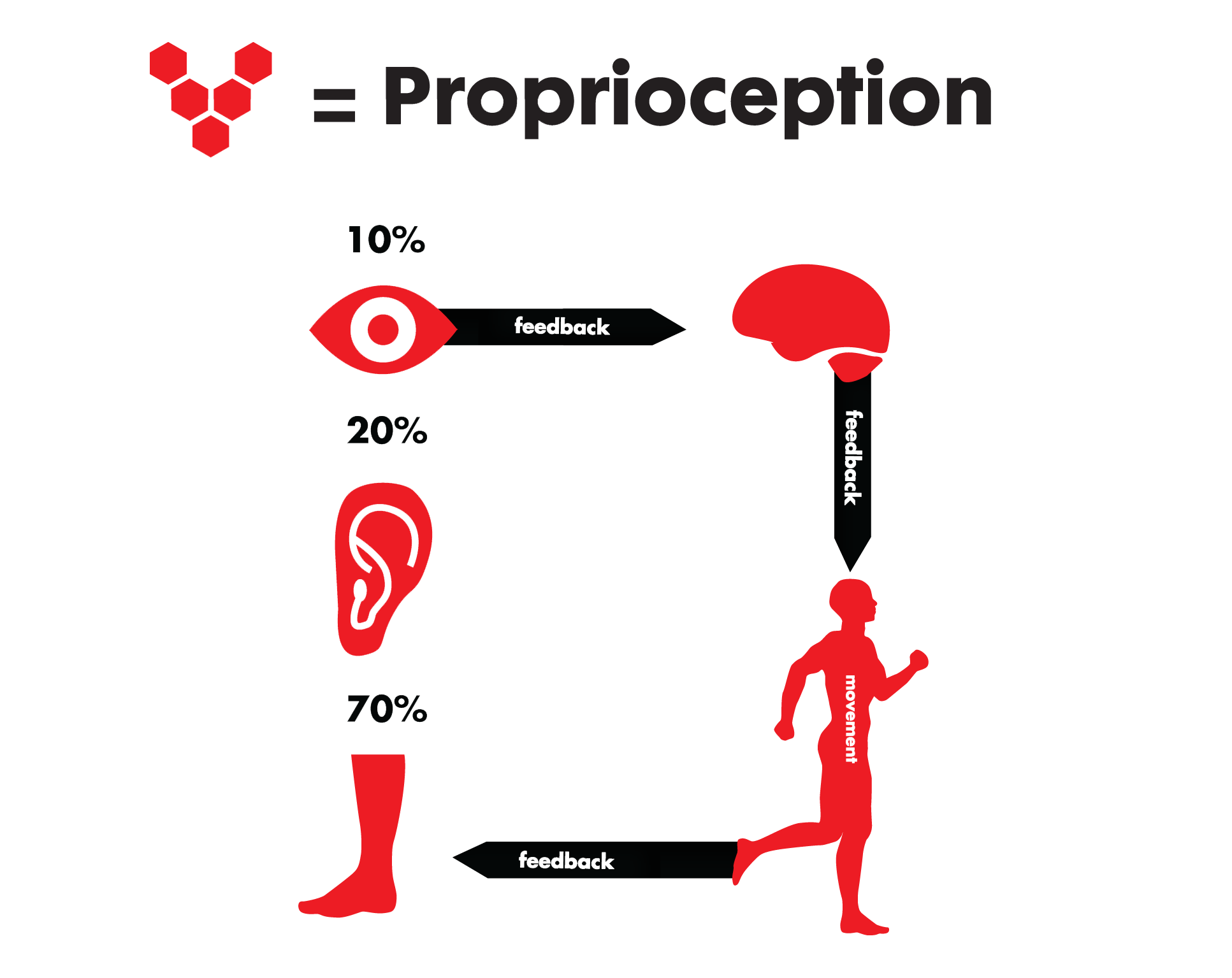 An infographic about proprioception