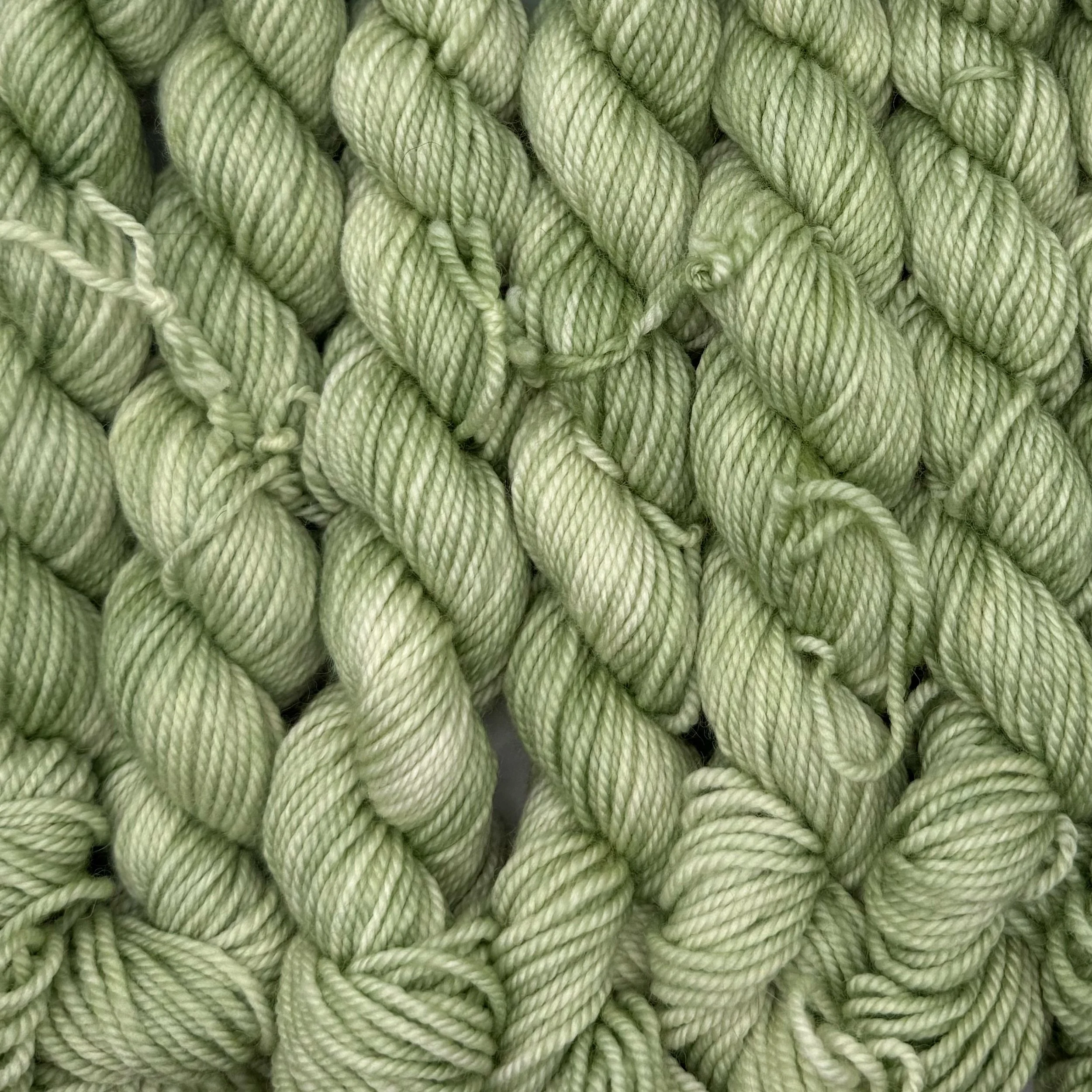 Pistachio