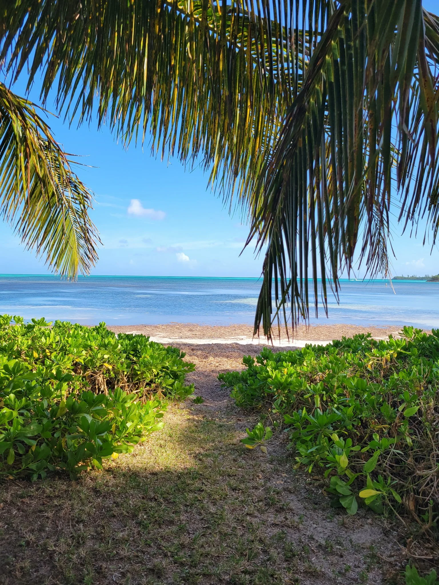 An Island Epiphany on What Food is Supposed to Taste Like