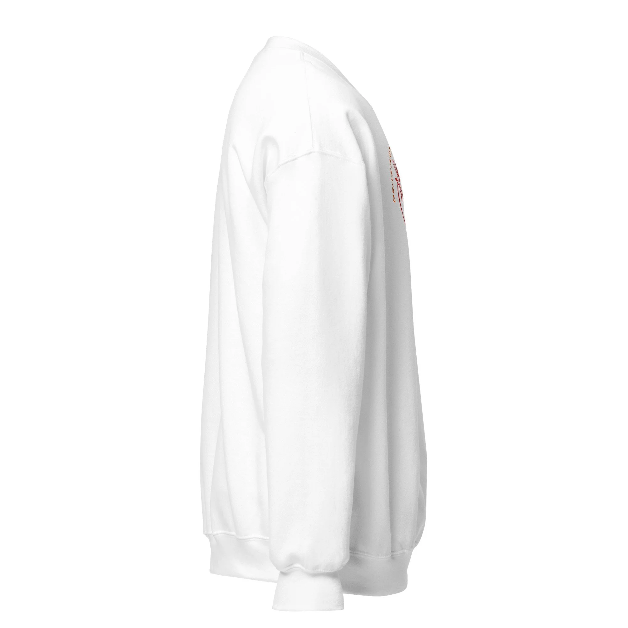 unisex-crew-neck-sweatshirt-white-right-6a680e956589e.jpg