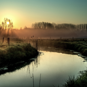 A scenic view of a winding river with misty grass banks and silhouetted trees against a rising sun, evoking nature and water.
