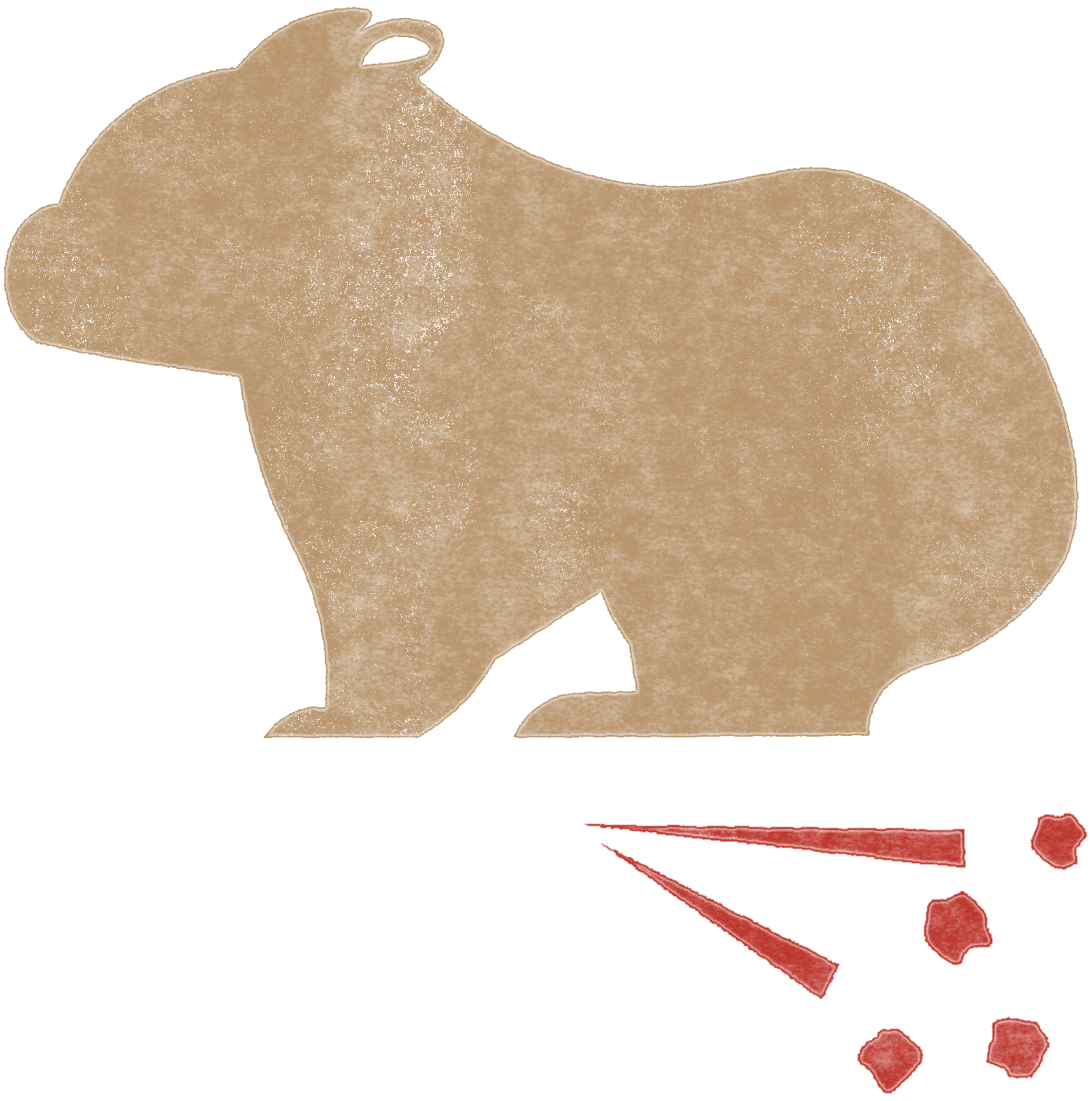 A stubby wombat with a large snout splattering mud behind its hind legs.
